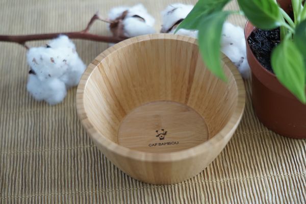 Bol Cap bambou