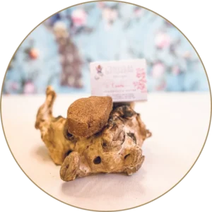 Shampoing solide cuivré L'envolée des couleurs