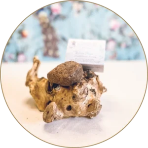 Shampoing solide Vishnu Priya